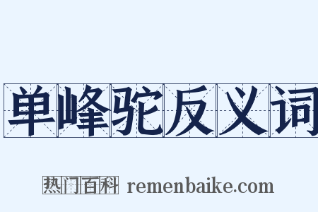 单峰驼反义词是什么意思的图片